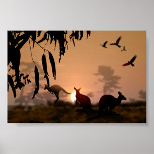 Kangaroos Poster