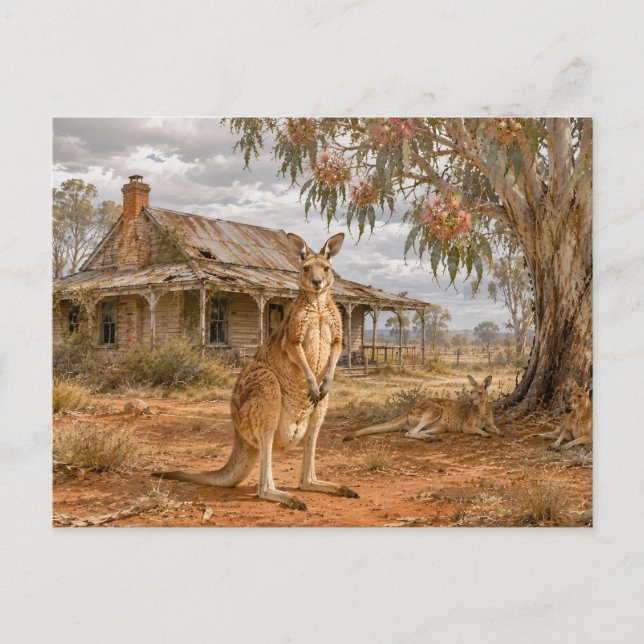 Kangaroos under gumtree farmhouse  postkarte (Vorderseite)