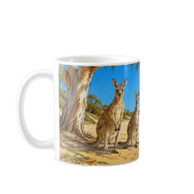 Kangaroos under gumtree sandy beach
