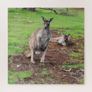 Kangaroos, was für ein Niedliches Paar, Puzzle
