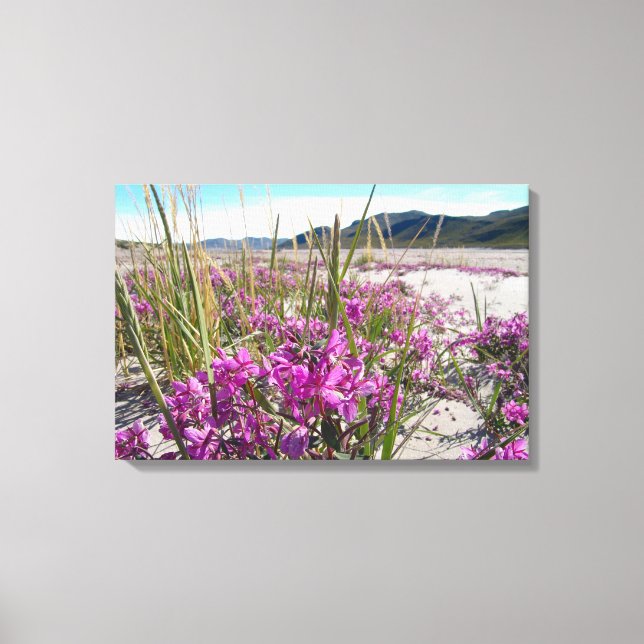 Kangerlussuaq Grönland Leinwanddruck (Vorderseite)