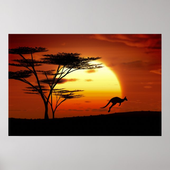 Kangoro bei Sonnenuntergang Poster (Vorne)