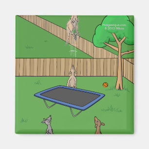 Känguru-Trampoline-Schlag-Magnet Magnet
