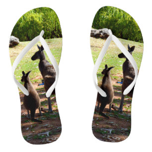 Känguru und ihr Joey, Flip Flops