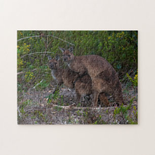 Kängurus machen Liebe unter, 252 Stück Puzzle