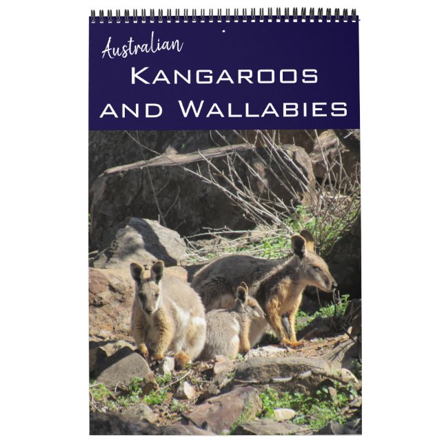 Kängurus wallabies 2025 kalender (Titelbild)