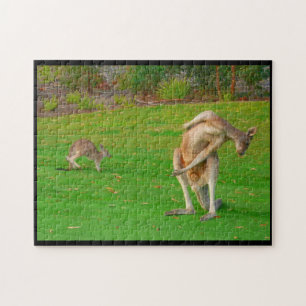 Kängurustrecke Puzzle