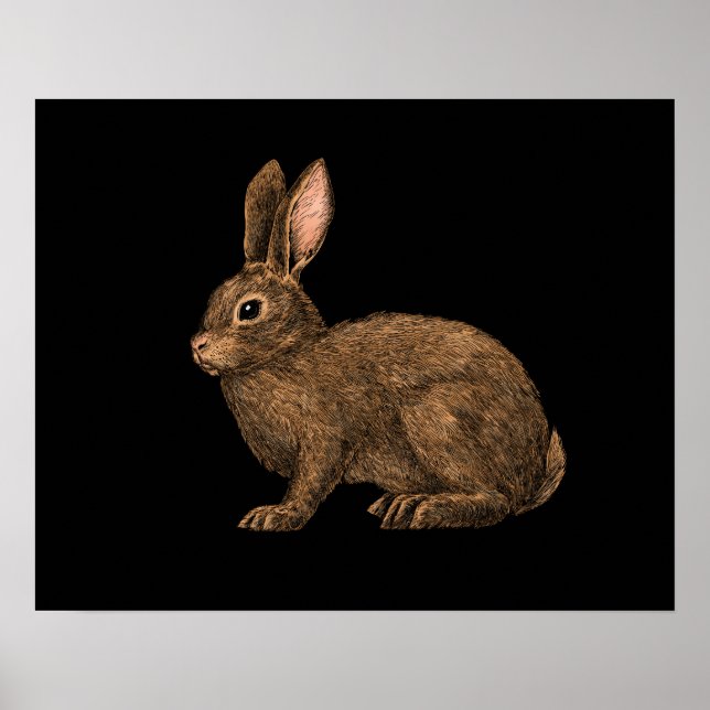 Kaninchen 2 poster (Vorne)