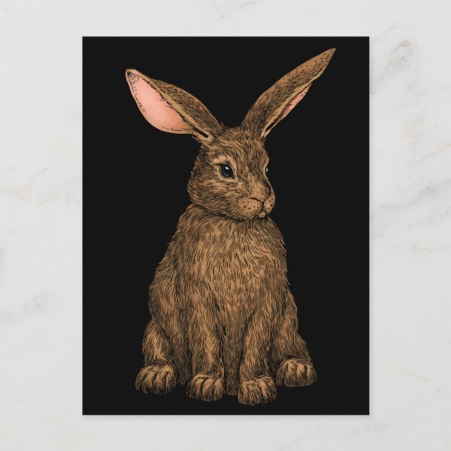 Kaninchen 3 postkarte (Vorderseite)