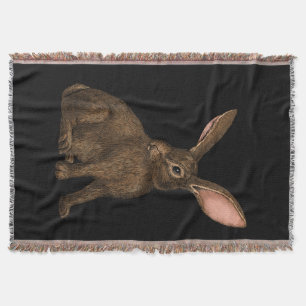 Kaninchen 4 decke