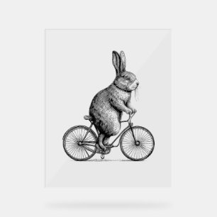 Kaninchen auf dem Bike Bunny Bicycle Men W Acrylschild