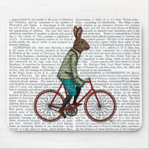 Kaninchen auf Fahrrad 2 Mousepad