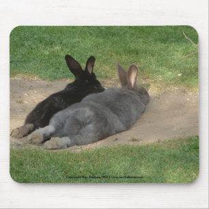 Kaninchen ausgedehntes heraus - Mousemat. Fertigen Mousepad
