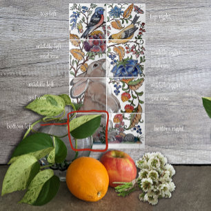 Kaninchen Bird Jacobohne Florentiner Tile Mural 8p Fliese