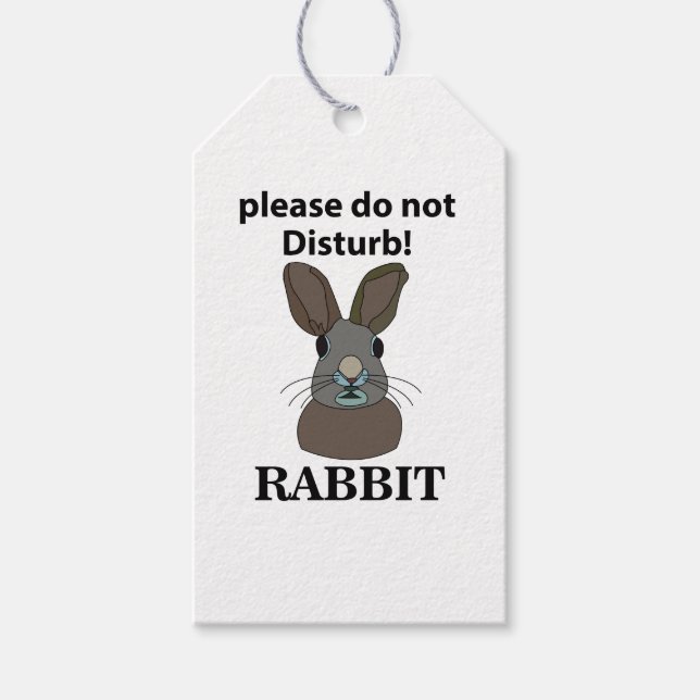 Kaninchen Bitte stören Sie nicht das sonnige Kanin Geschenkanhänger (Vorderseite)
