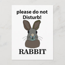 Kaninchen Bitte stören Sie nicht das sonnige Kanin Postkarte