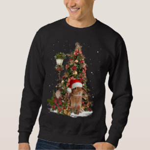 Kaninchen Bunny Santa Tree Lights Zwerg Lop Ohrfei Sweatshirt