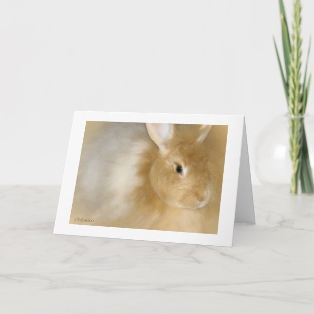 Kaninchen (Caramel) Feiertagskarte (Vorderseite)
