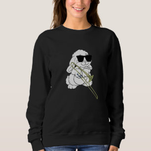 Kaninchen, die eine Sonnenbrille tragen, die Tromb Sweatshirt