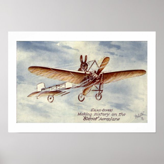 Kaninchen Flying a Flugzeug Poster (Vorne)