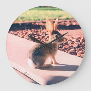 Kaninchen Foto Ostern Frühling Große Wanduhr