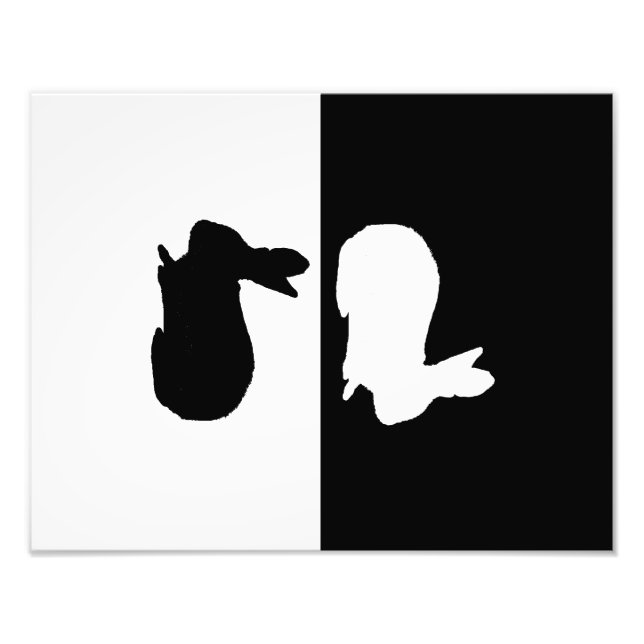 Kaninchen Fotodruck (Vorne)