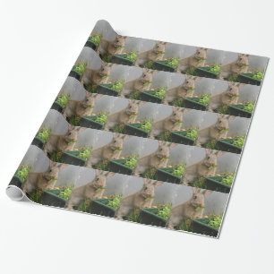 Kaninchen Geschenkpapier