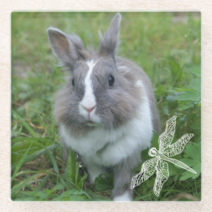 Kaninchen Glasuntersetzer