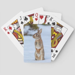 Kaninchen im Schnee Spielkarten