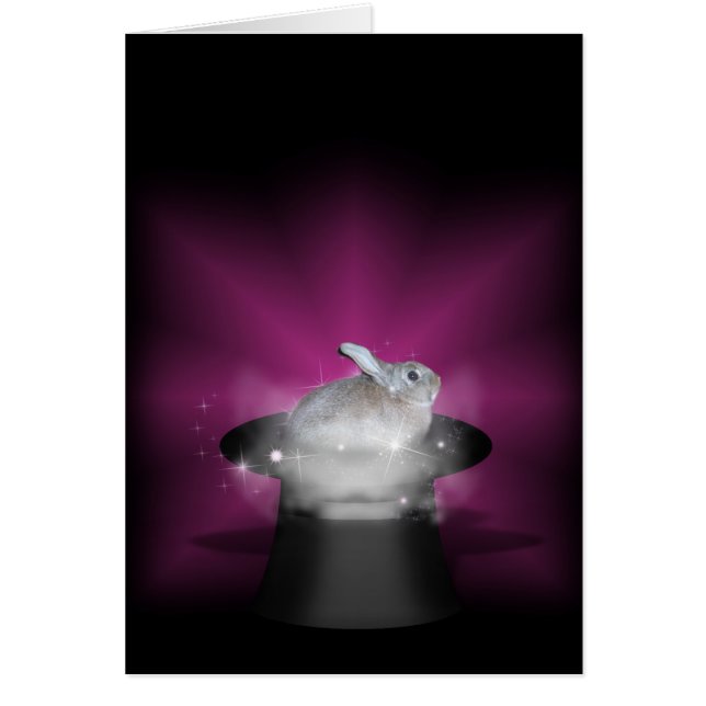 Kaninchen in der Zauberhut (Vorne)