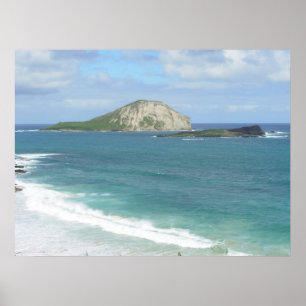 Kaninchen-Insel auf Ohau Plakat