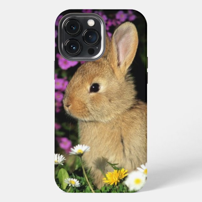 Kaninchen iPhone Hülle (Rückseite)