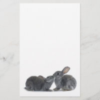 Kaninchen-Kuss