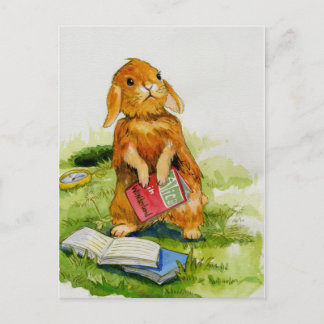 Kaninchen liest gerne Postkarte
