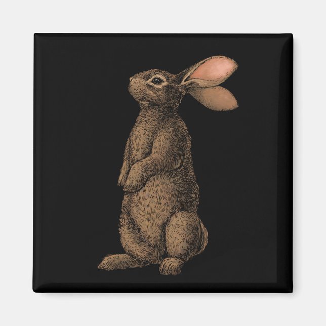 Kaninchen Magnet (Vorne)