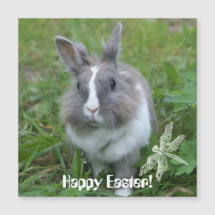 Kaninchen Magnetkarte