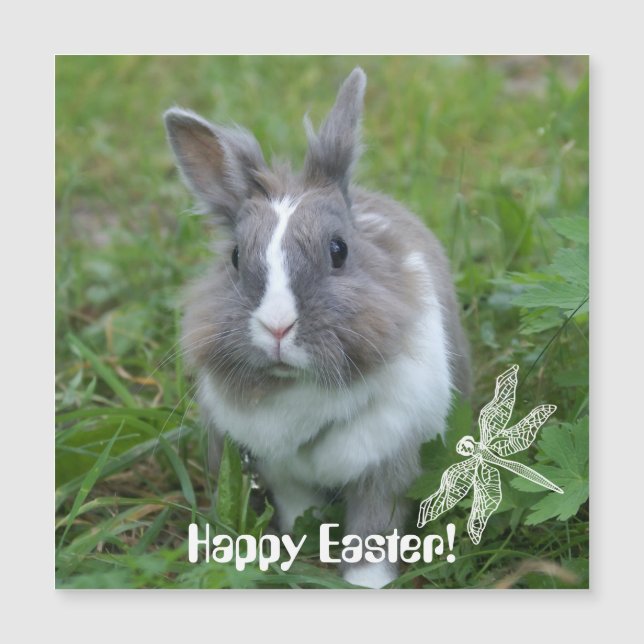 Kaninchen Magnetkarte (Vorderseite)