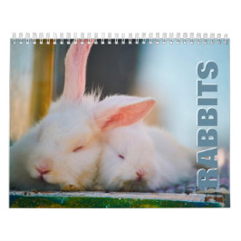 Kaninchen-Mauerkalender Kalender