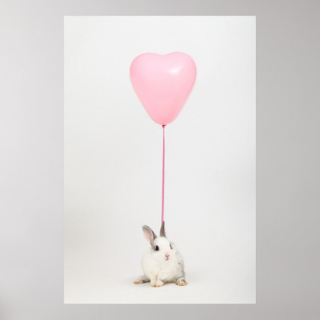 Kaninchen mit rosa Ballon Poster (Vorne)