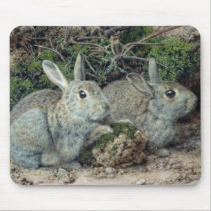 Kaninchen Mousepad