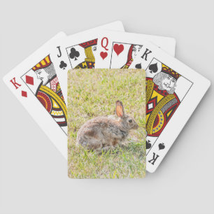 Kaninchen - Ostern - Wildtiere - Tierspiele Spielkarten