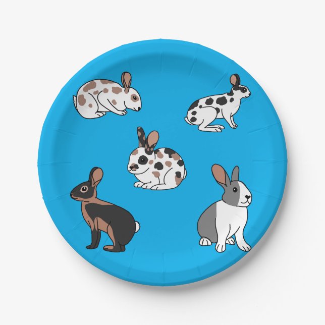 Kaninchen Pappteller (Vorderseite)