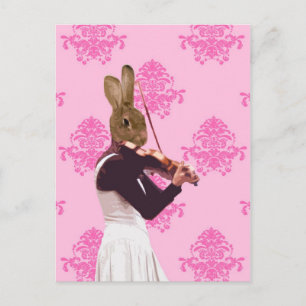 Kaninchen spielen Geige Postkarte