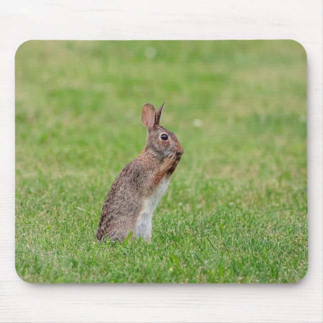 Kaninchen stehend im Gras und schüchtern aussehen Mousepad (Vorne)