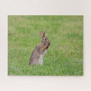 Kaninchen stehend im Gras und schüchtern aussehen Puzzle