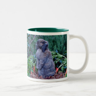 Kaninchen-Tasse - besonders angefertigt Zweifarbige Tasse