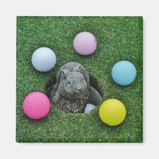 Kaninchen und farbige Golfbälle Magnet