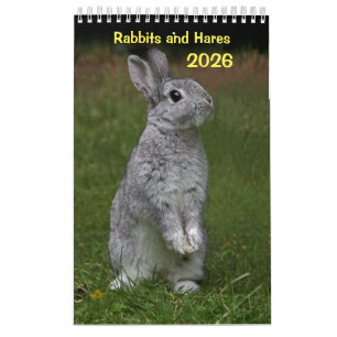 Kaninchen und Hares-Kalender 2025 Kalender