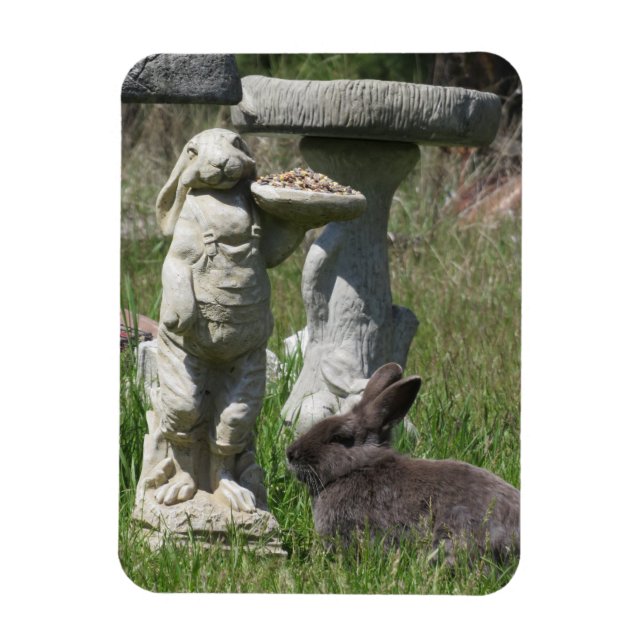 Kaninchen- und Hasen-Statue-Vogelfutterhaus Magnet (Vertikal)