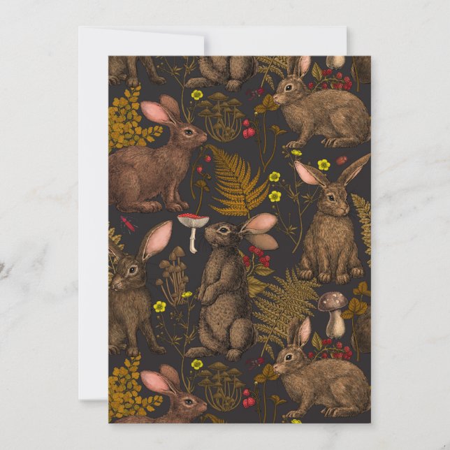 Kaninchen und Waldflora 3 (Vorderseite)